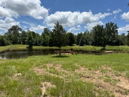 Recreational Property for sale in Leon County, Texas