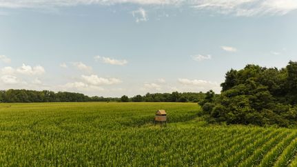 Timberland Property for sale in Phillips County, Arkansas
