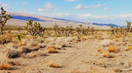 Land for sale in Mohave County, Arizona