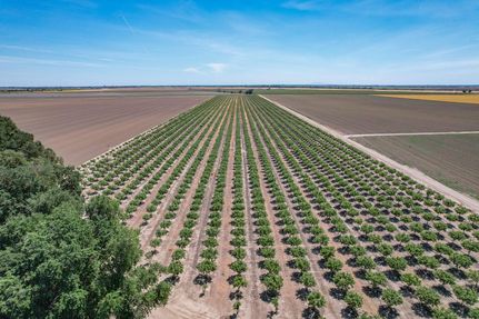 Farm and Ranch for sale in Yolo County, California