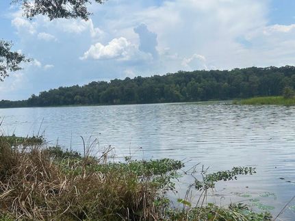 Homesite for sale in Wilcox County, Alabama