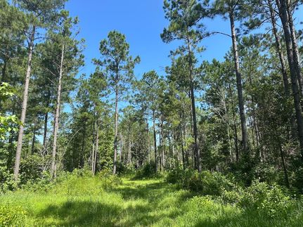 Farm and Ranch for sale in Clarke County, Mississippi