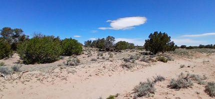Farm and Ranch for sale in Apache County, Arizona