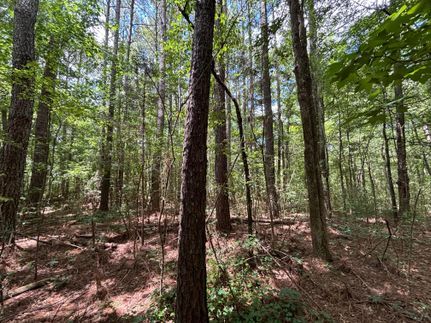 Hunting Property for sale in Blount County, Alabama