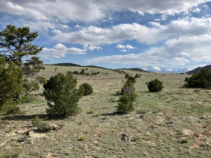 Farm and Ranch for sale in Custer County, Colorado