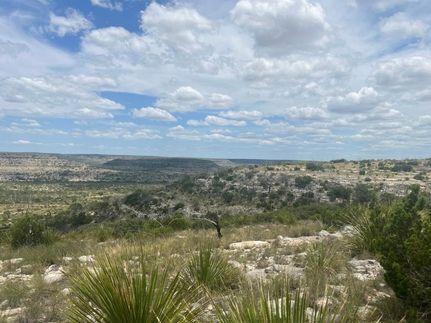 Farm and Ranch for sale in Crockett County, Texas