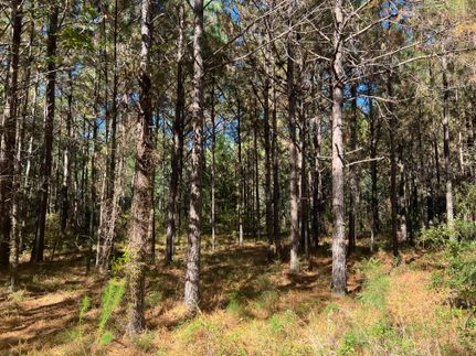 Timberland Property for sale in Barbour County, Alabama