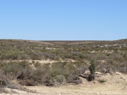 Timberland Property for sale in Terrell County, Texas