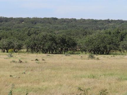 Recreational Property for sale in Menard County, Texas