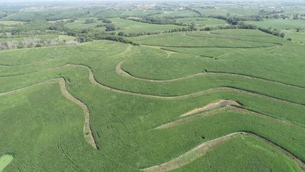 Farm and Ranch for sale in Montgomery County, Iowa
