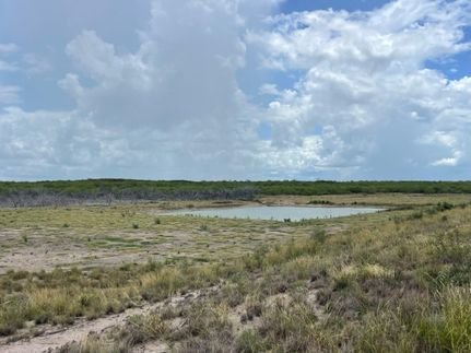 Undeveloped Land for sale in La Salle County, Texas
