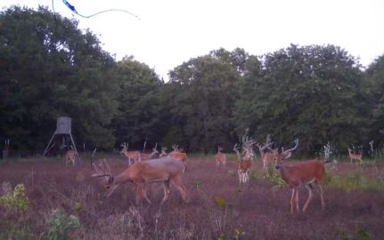 Recreational Property for sale in Hughes County, Oklahoma