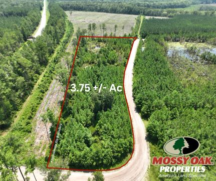 Timberland Property for sale in Camden County, Georgia