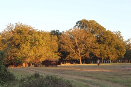 Land for sale in Coryell County, Texas
