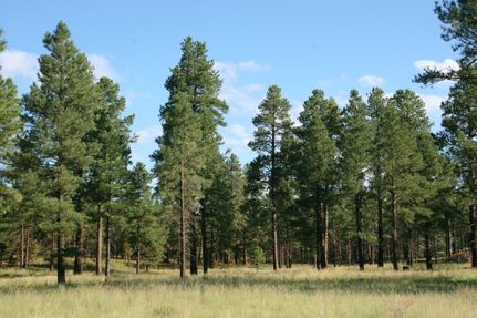 Farm and Ranch for sale in Coconino County, Arizona