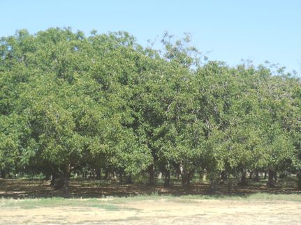 Timberland Property for sale in Butte County, California