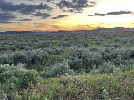 Farm and Ranch for sale in Lassen County, California