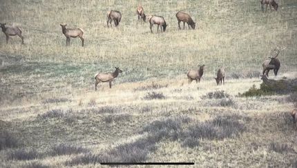 Farm and Ranch in Musselshell County, Montana