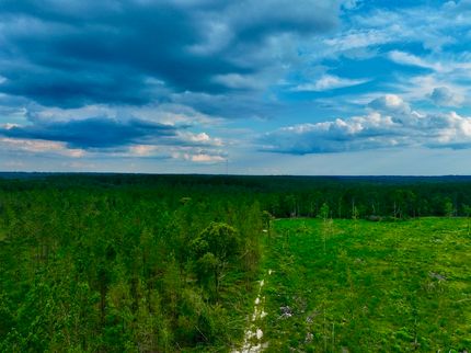 Land for sale in Walthall County, Mississippi