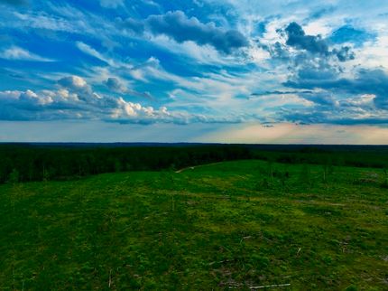 Farm and Ranch for sale in Walthall County, Mississippi