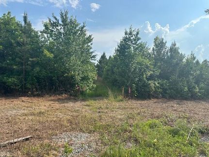 Farm and Ranch for sale in King and Queen County, Virginia
