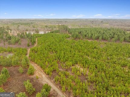 Timberland Property for sale in Worth County, Georgia