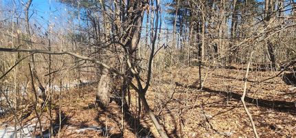 Farm and Ranch for sale in Sullivan County, New York