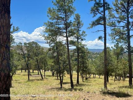 Timberland Property for sale in Lincoln County, New Mexico