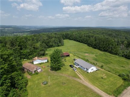 Undeveloped Land for sale in Steuben County, New York