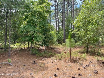 Timberland Property for sale in Moore County, North Carolina