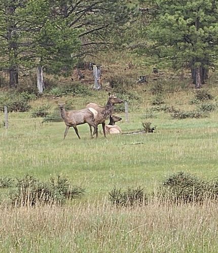 Recreational Property for sale in Fergus County, Montana