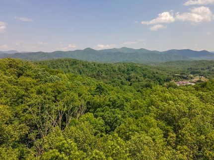 Timberland Property for sale in Macon County, North Carolina