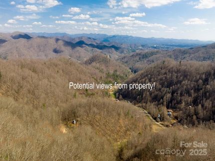 Undeveloped Land for sale in Madison County, North Carolina