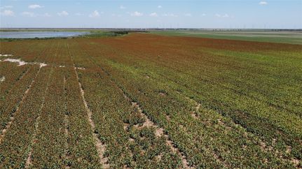 Timberland Property for sale in Haskell County, Texas