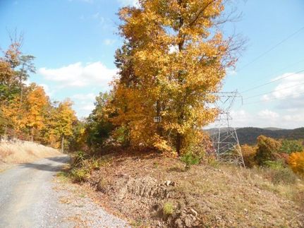 Farm and Ranch for sale in Huntingdon County, Pennsylvania