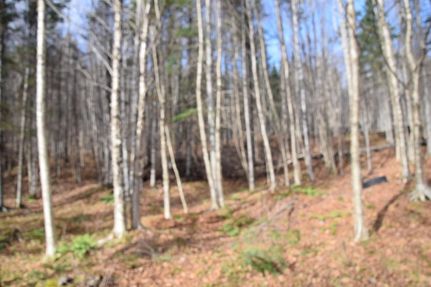 Farm and Ranch for sale in Coos County, New Hampshire