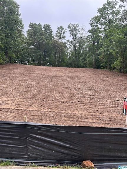 Undeveloped Land for sale in Shelby County, Alabama