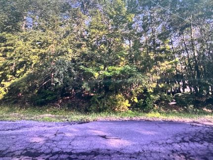 Recreational Property for sale in Walker County, Alabama