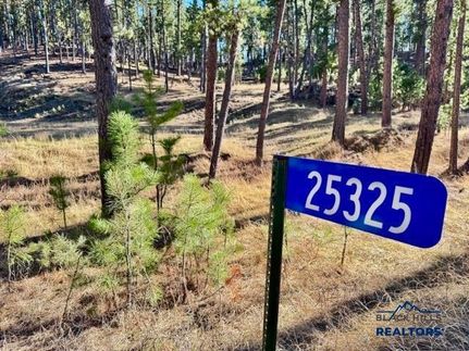Farm and Ranch for sale in Custer County, South Dakota
