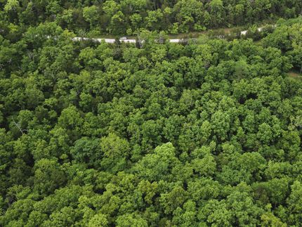 Undeveloped Land for sale in Ozark County, Missouri