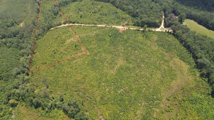 Hunting Property for sale in Fayette County, Alabama