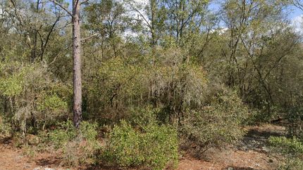 Farm and Ranch for sale in Putnam County, Florida