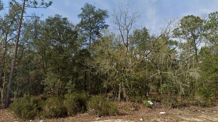 Undeveloped Land for sale in Putnam County, Florida