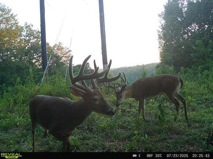 Farm and Ranch for sale in Meigs County, Ohio