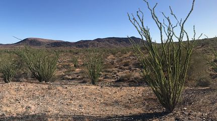 Land for sale in Mohave County, Arizona