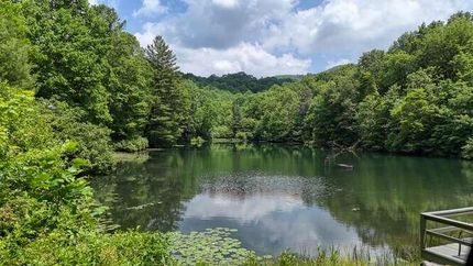 Recreational Property for sale in Rabun County, Georgia