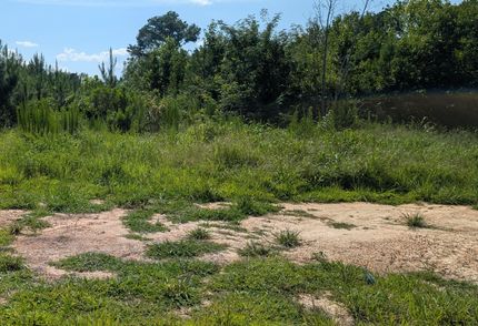 Timberland Property for sale in Brunswick County, Virginia
