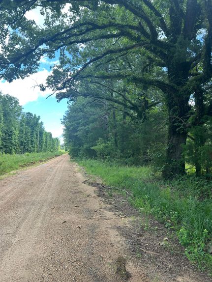 Farm and Ranch for sale in Marengo County, Alabama