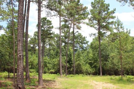 Farm and Ranch for sale in Tallapoosa County, Alabama