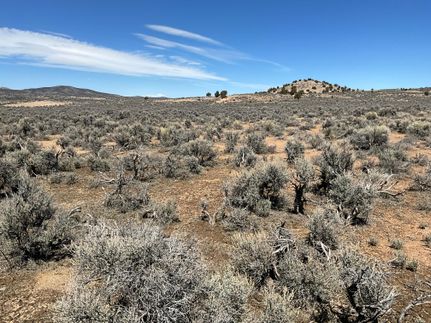 Farm and Ranch for sale in Elko County, Nevada